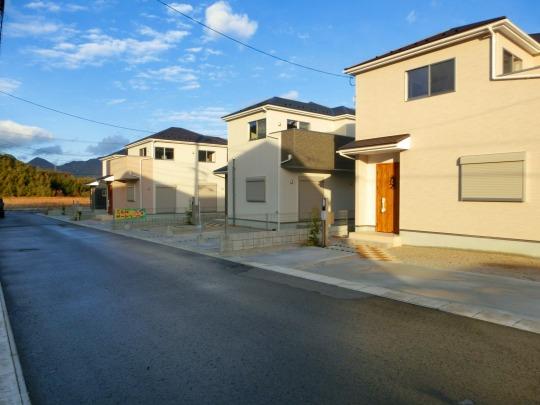 Local photos, including front road