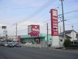 Drug store. Hearty Wants 2940m to Otake shop