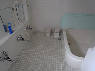 Bathroom. It is the bath