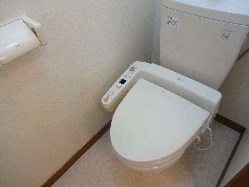 Toilet. Bidet with a clean toilet!