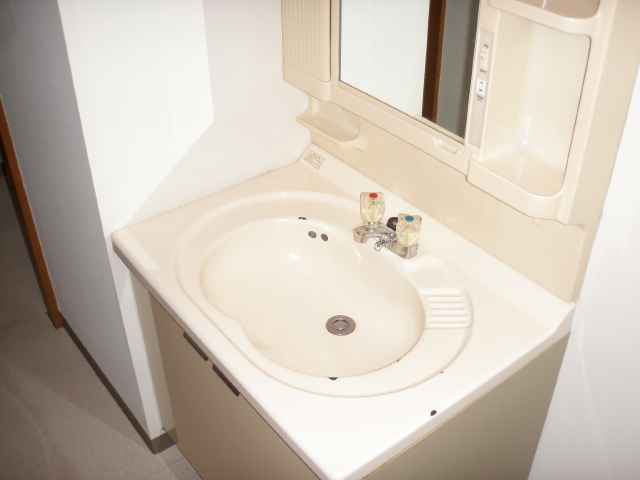 Washroom. Vanity is vanity photo