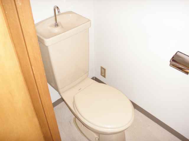 Toilet. It is a photograph in the toilet