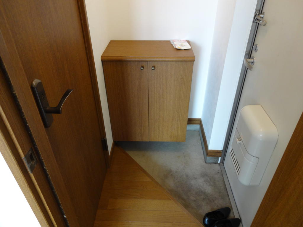 Entrance. It is also perfectly put away the shoes in the shoe box! 