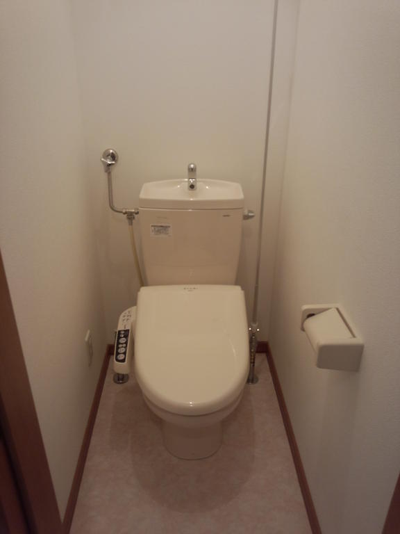 Toilet. We plan to photograph the same type