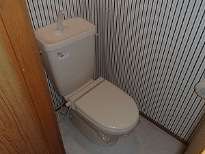 Toilet