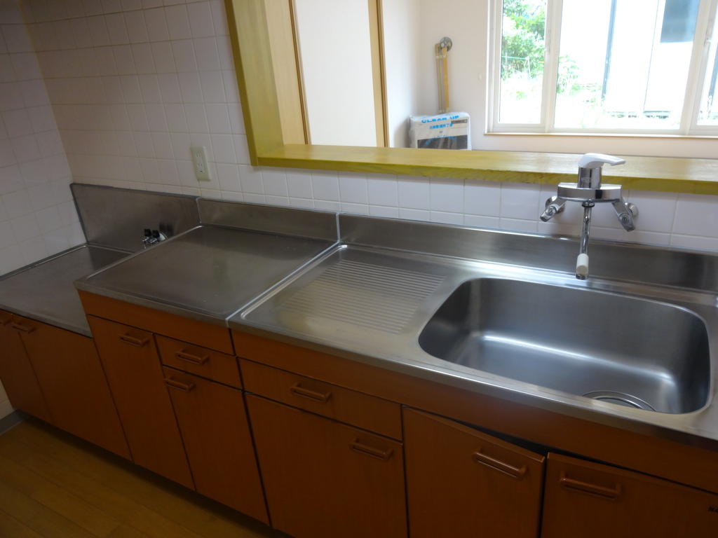 Kitchen. Popular face-to-face kitchen