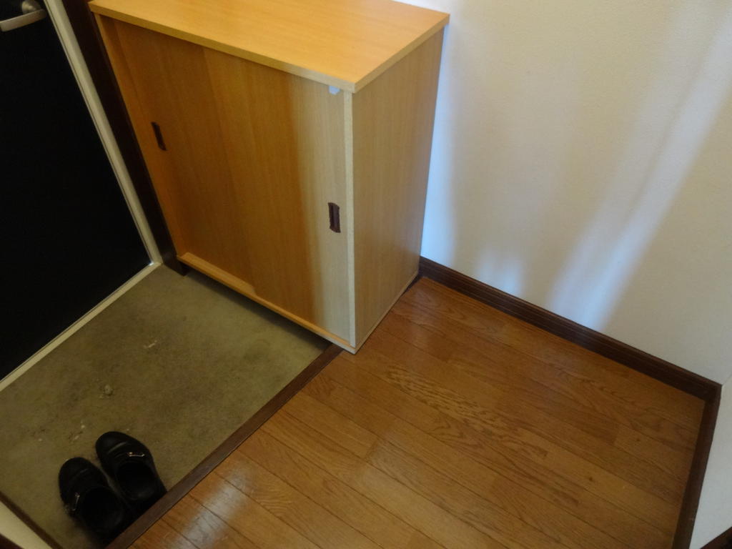 Entrance. In cupboard equipped, You can firm also organize shoes! 