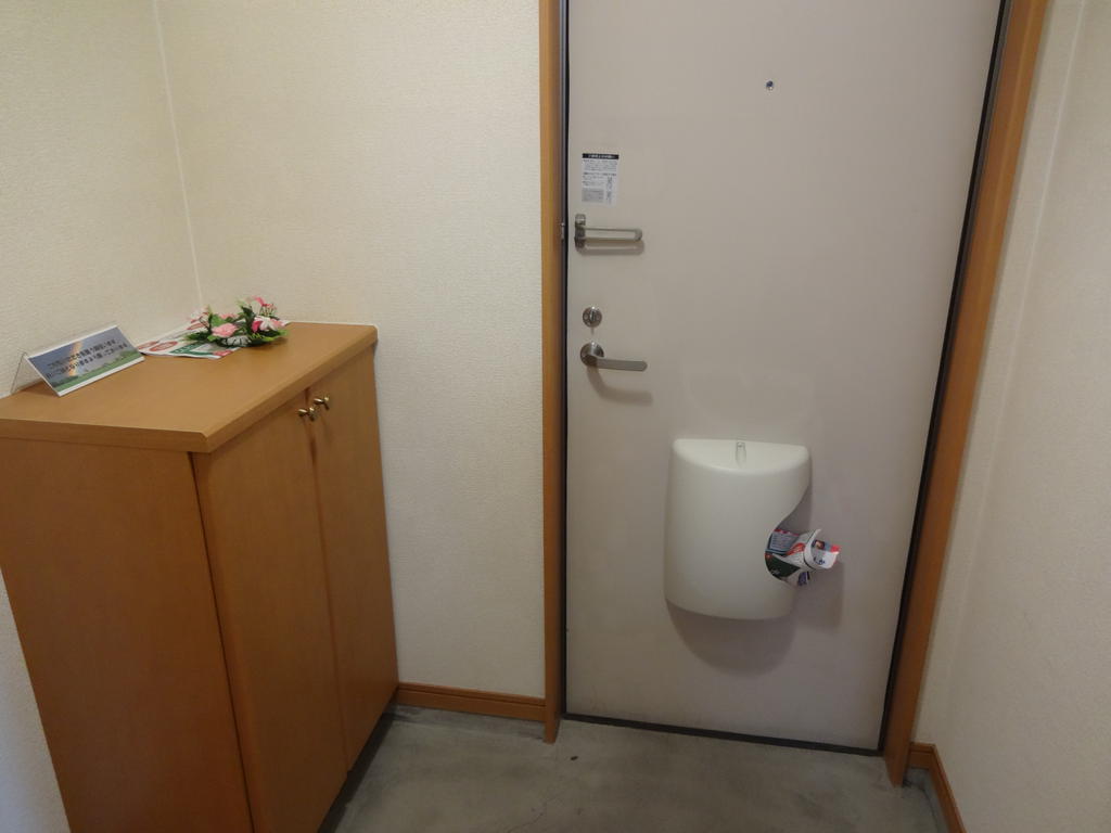 Entrance. It is perfect also storage of shoes because there is also a shoe box!