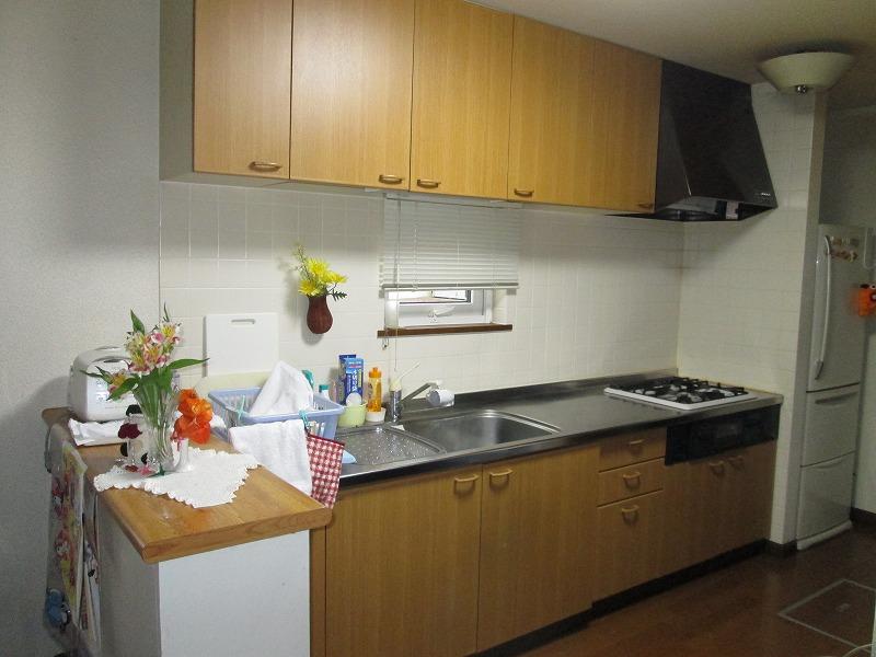 Kitchen. Indoor (11 May 2013) Shooting