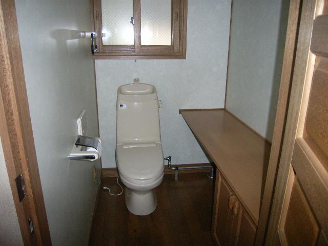 Toilet. Room (August 2013) Shooting