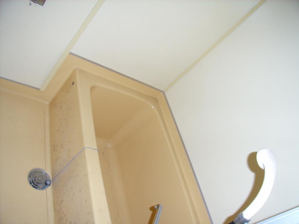 Bathroom. Indoor (10 May 2012) shooting