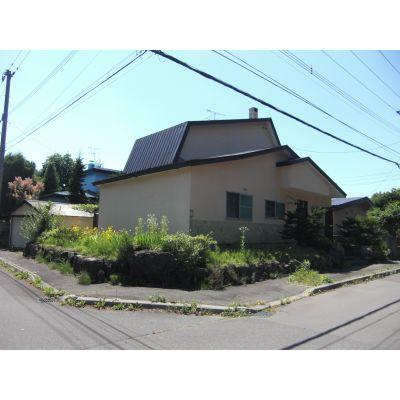 Local appearance photo. Local (July 2012) shooting