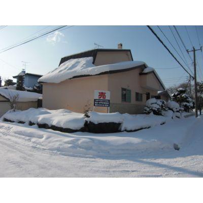 Local appearance photo. Local (12 May 2012) shooting