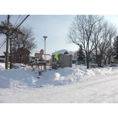 Local appearance photo. Local (12 May 2012) shooting