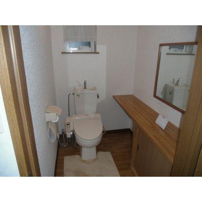 Toilet. Room (May 2013) Shooting