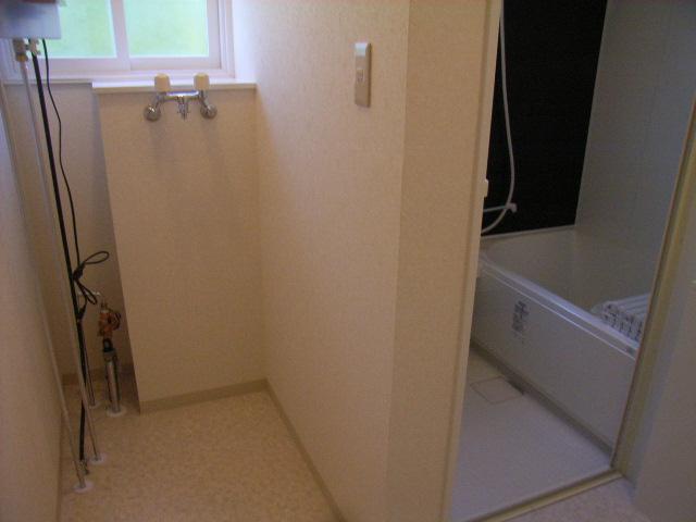 Other introspection. Spacious utility