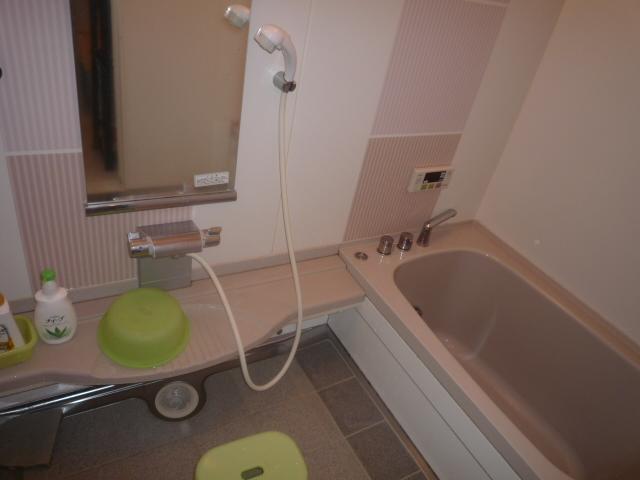 Bathroom. Indoor (11 May 2013) Shooting