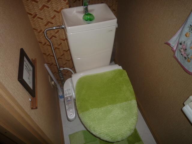 Toilet. Indoor (11 May 2013) Shooting