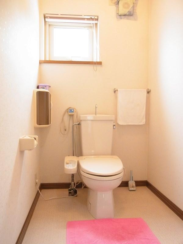 Toilet. Indoor shooting