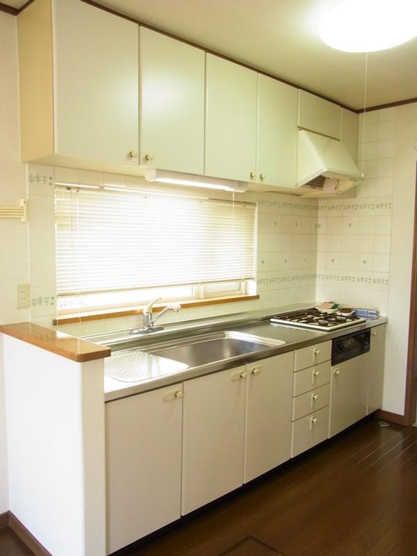 Kitchen. Indoor shooting