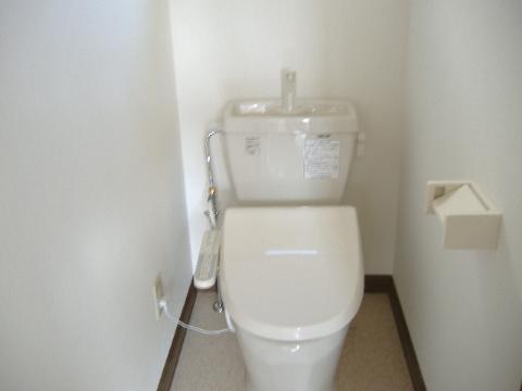 Toilet. Toilet with cleanliness