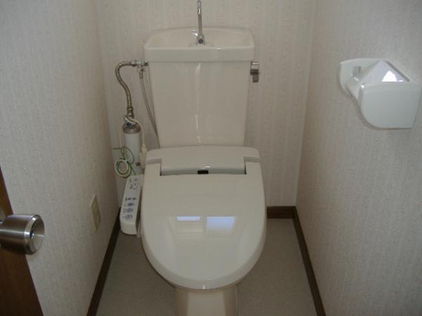 Toilet. Cleaning toilet seat replaced.