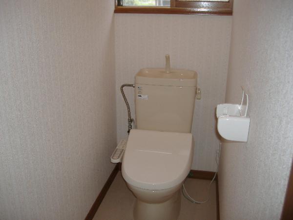 Toilet. Warm water washing toilet seat