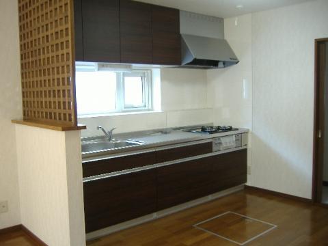 Kitchen. System kitchen new