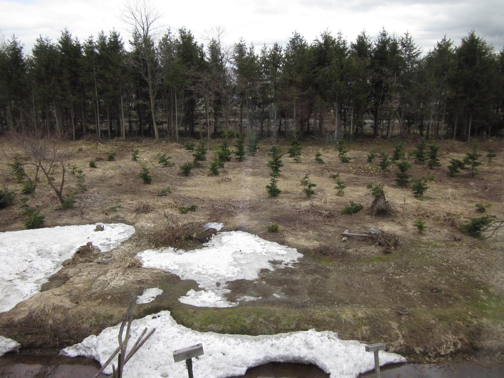 View photos from the dwelling unit. View from the dwelling unit (southwest side line site)