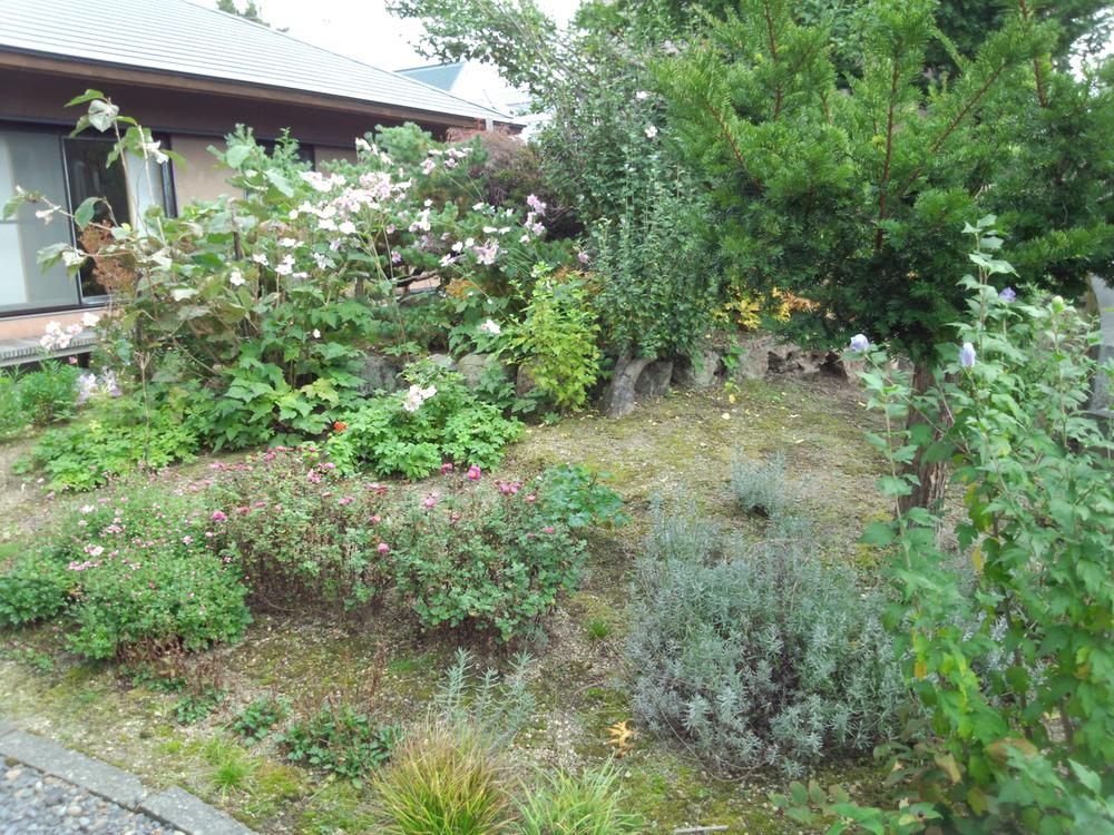 Garden. Local (10 May 2013) Shooting