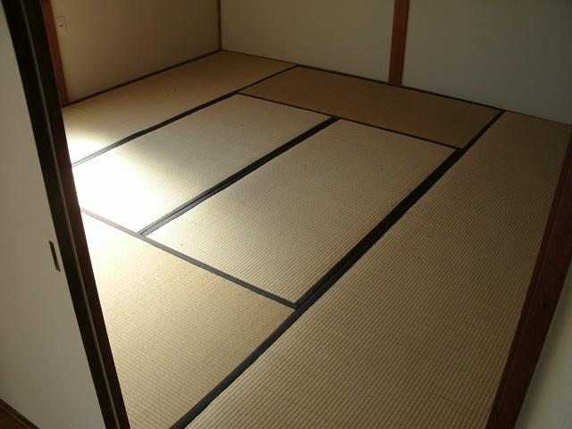 Other introspection. Japanese style room