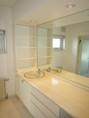 Wash basin, toilet. Spacious vanity was such as luxury hotel