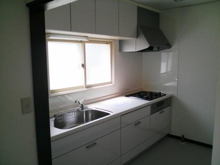 Kitchen. Room (May 2013) Shooting