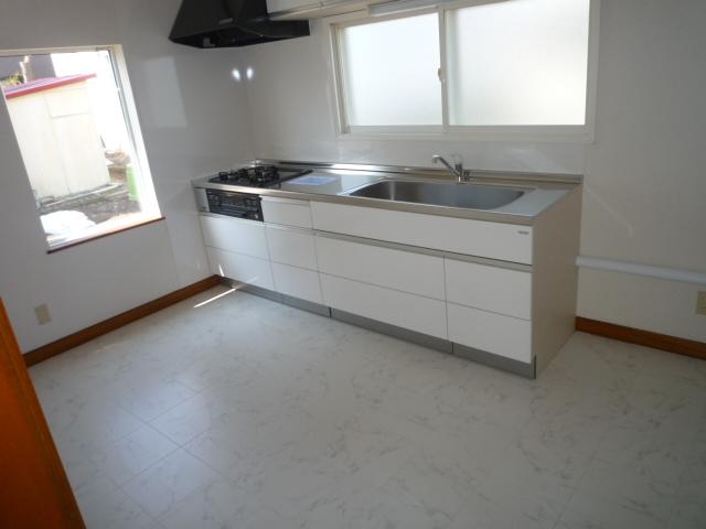 Kitchen. Local (April 2012) shooting