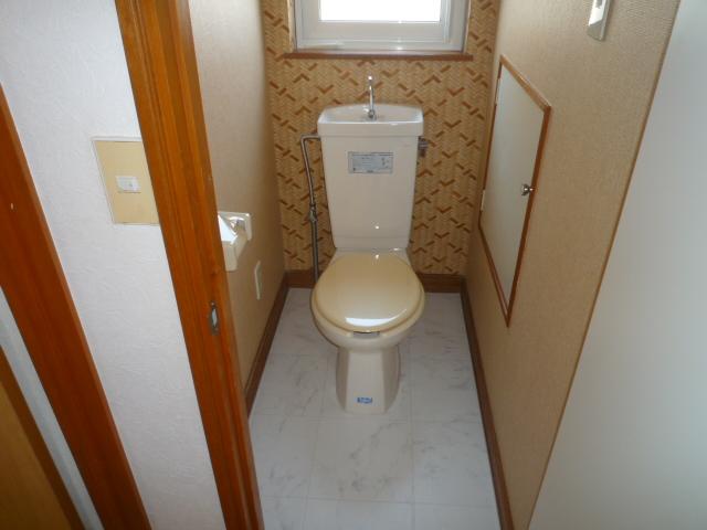 Toilet. Local (April 2012) shooting