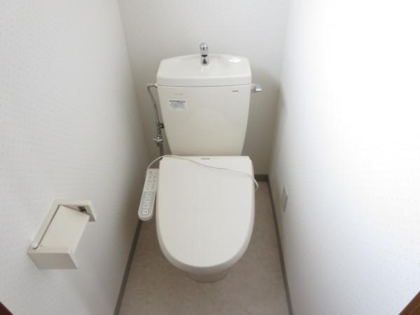 Toilet. Exchange did cleaning function toilet.