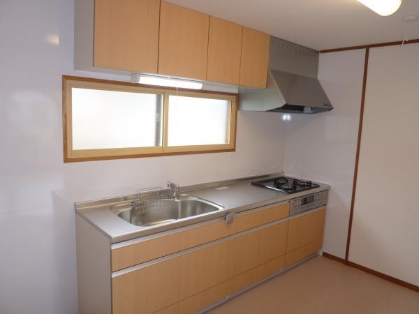 Kitchen. System kitchen new.