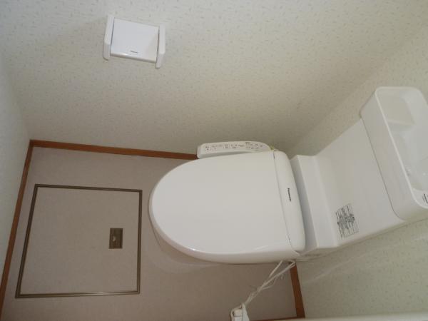 Toilet. It was replaced in the toilet with a wash function.