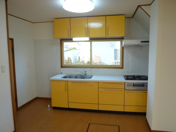 Kitchen. System kitchen. Gas stove new goods