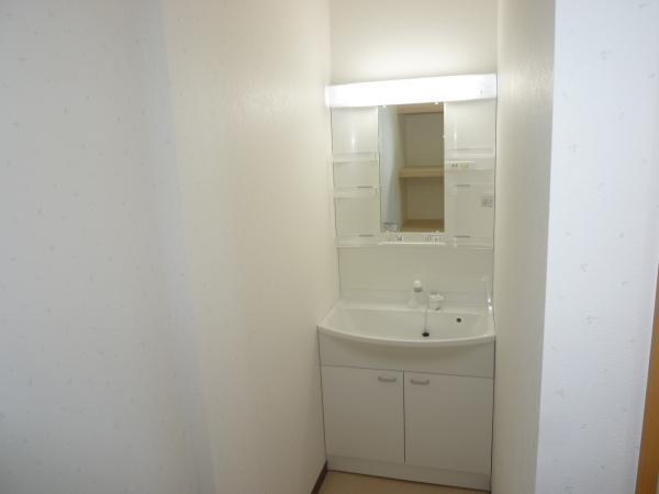 Wash basin, toilet. Washbasin exchange. You can shampoo in the morning shower.