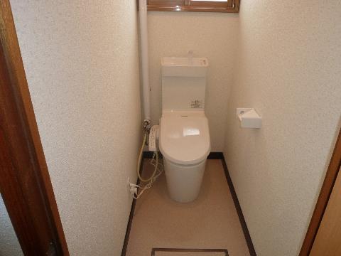 Toilet. Exchange did cleaning function toilet. 