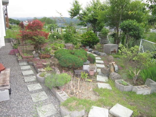 Garden. Local (July 2013) Shooting