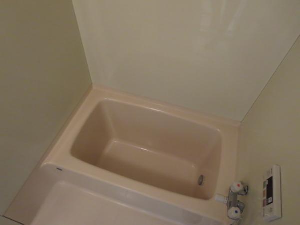 Bathroom. But it is 0.75 square meters, Also it comes with add cook function.