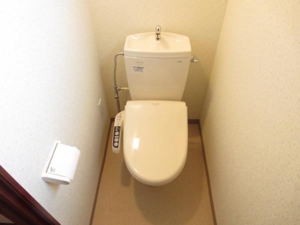 Toilet. Exchange did cleaning function toilet.