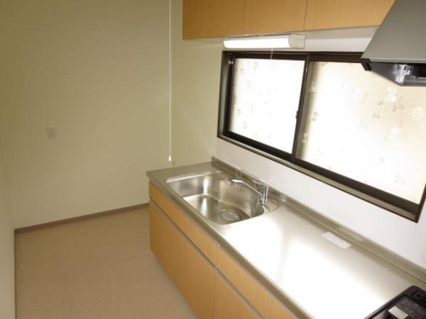 Kitchen. Kitchen photo (back)