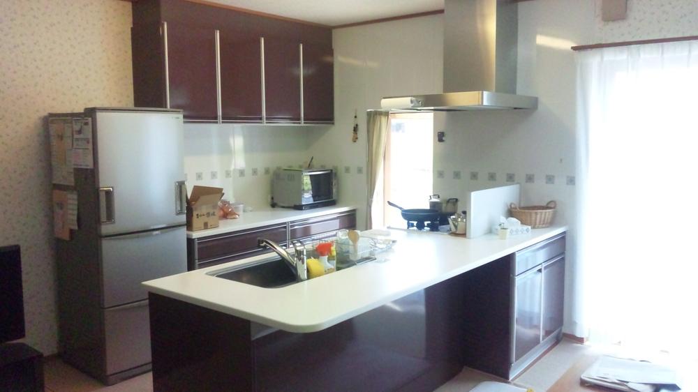 Kitchen. Indoor (June 2012) shooting