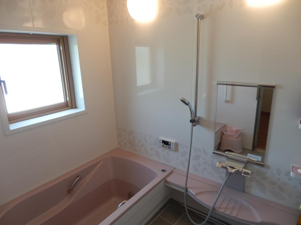 Bathroom. Indoor (June 2012) shooting