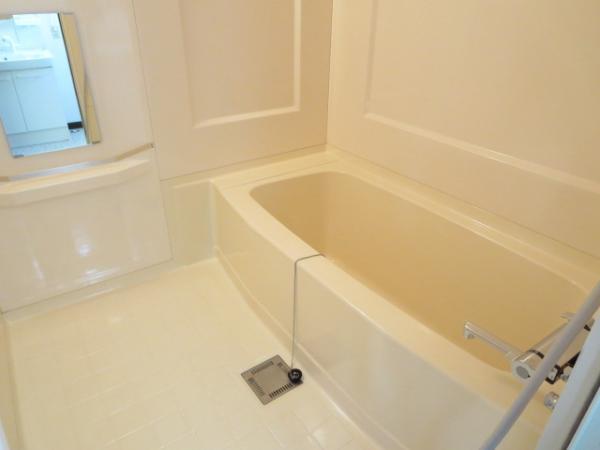 Bathroom. Unit bus is 1 tsubo type. 