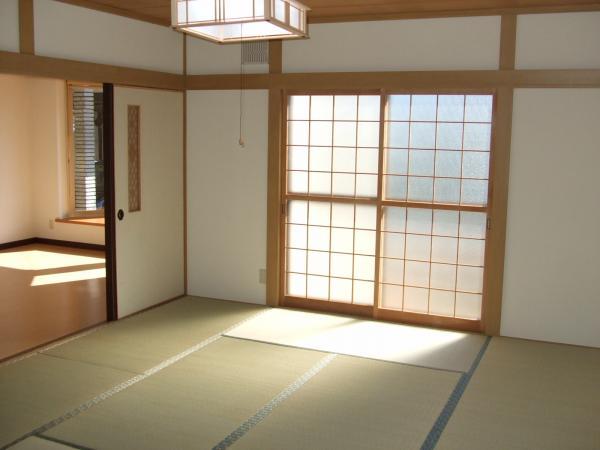 Other introspection. It is plenty of sunshine on the south-facing