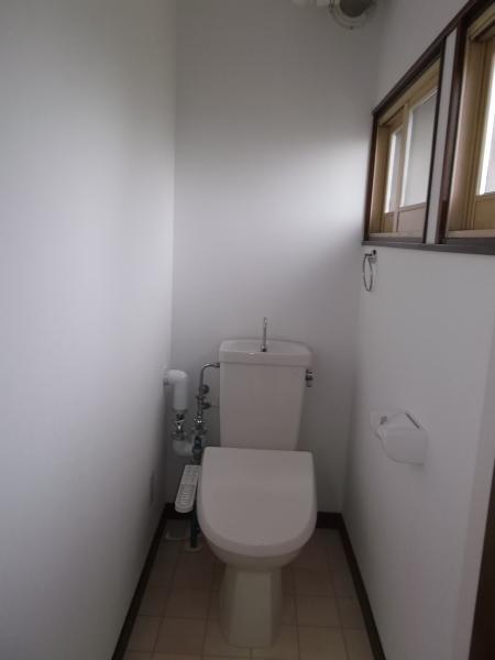 Toilet. Shower with toilet (toilet seat new)